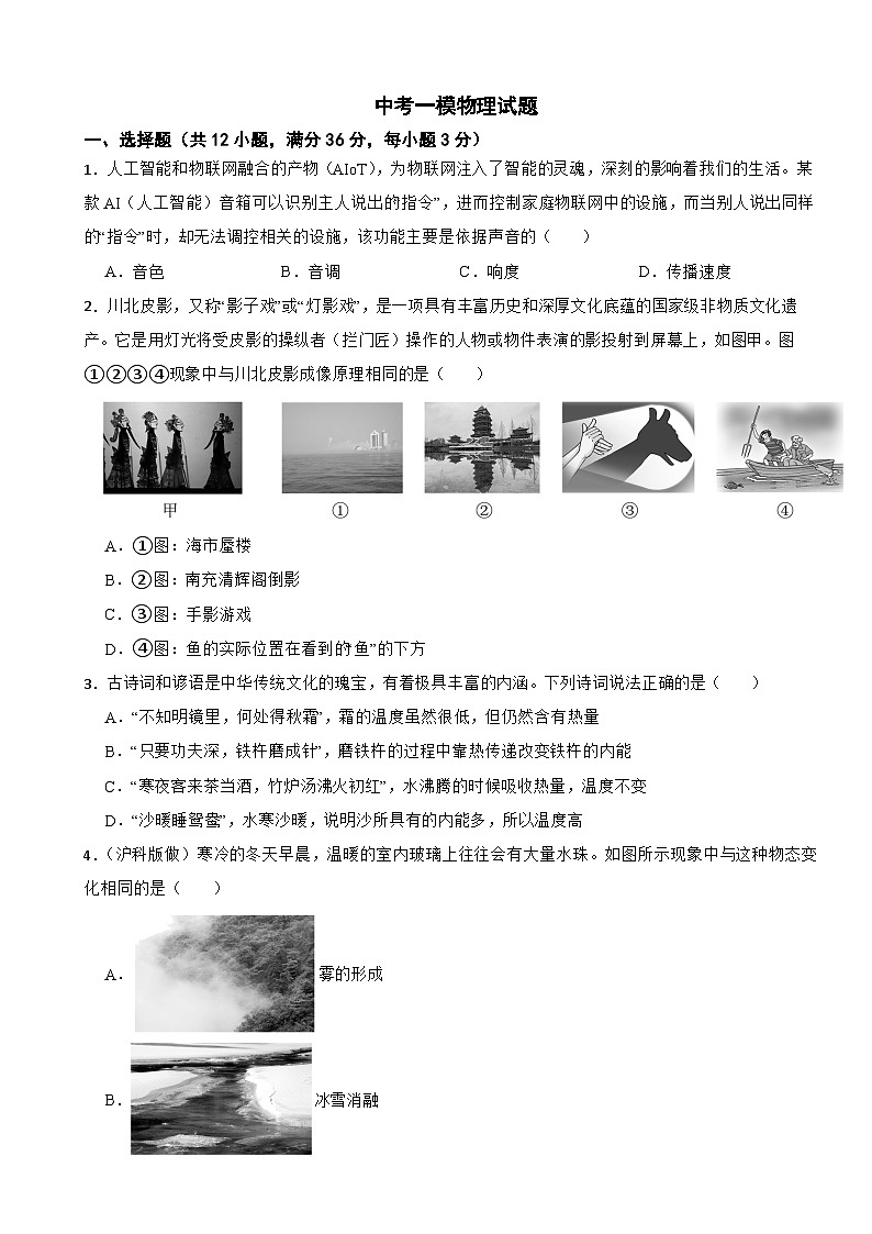 湖南省祁阳市2026年中考一模物理试卷附答案第1页