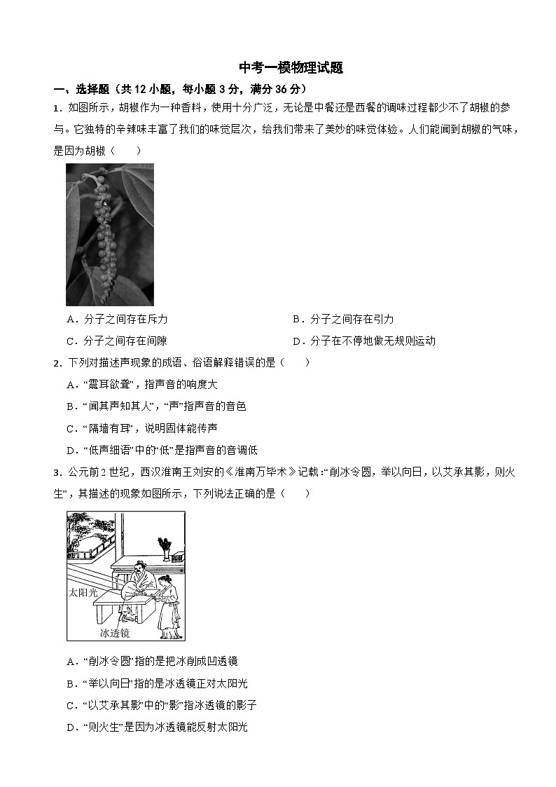 湖南省祁阳市2026年中考一模物理试题附答案第1页