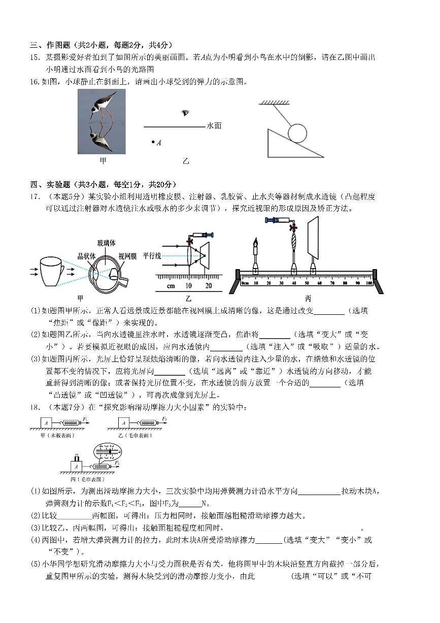 河南省鹤壁市2025-2026学年上学期八年级期末物理试卷含答案第3页