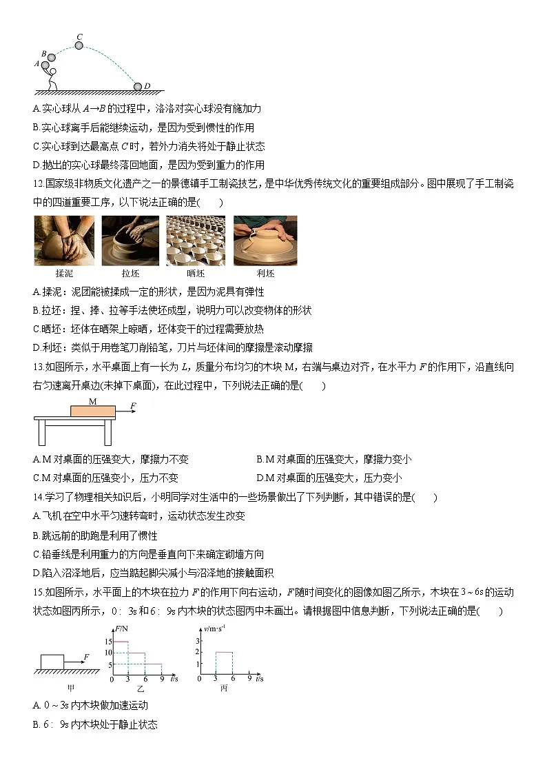 2024-2025学年河南省洛阳市八年级下学期期末练习物理试卷（学生版）第3页