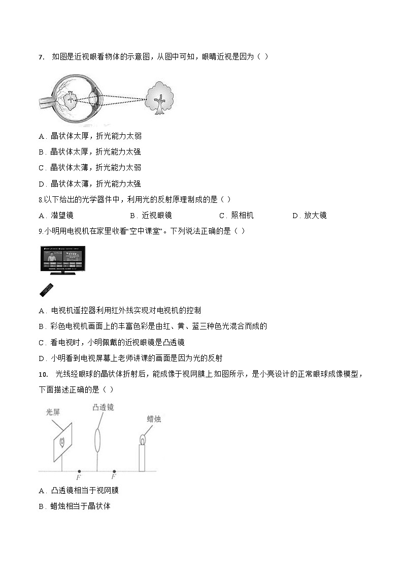 第4节 眼睛和眼镜一课一练物理人教版（2024）初中八年级上册(无答案)第3页