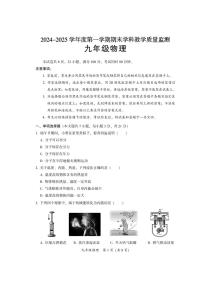 2024-2025学年第一学期九年级物理期末试卷