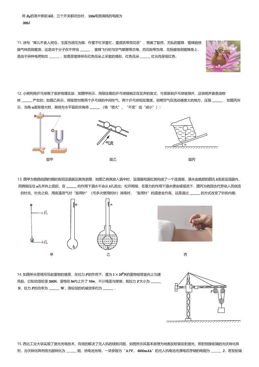 2025年陕西西安碑林区工大附中中考二模物理试卷（有答案解析）第3页