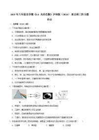 物理八年级全册（2024）光的色散精练