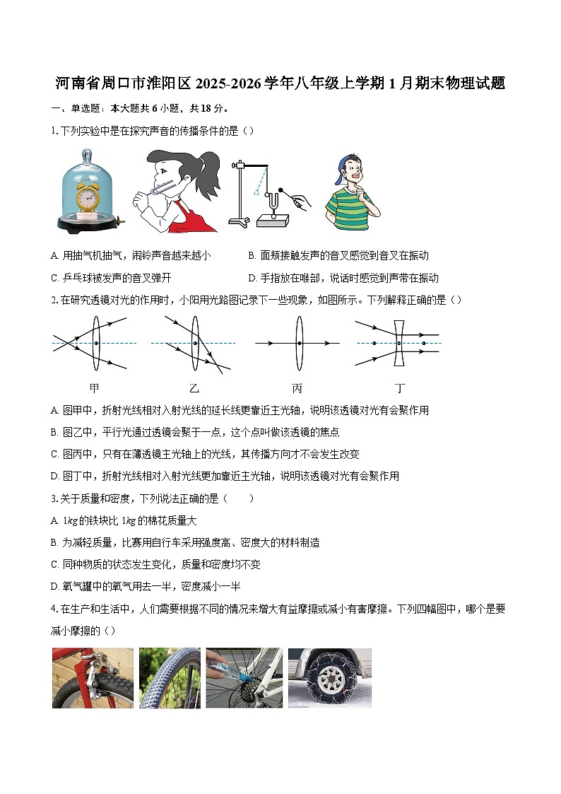 河南省周口市淮阳区2025-2026学年八年级上学期1月期末物理试题-自定义类型第1页