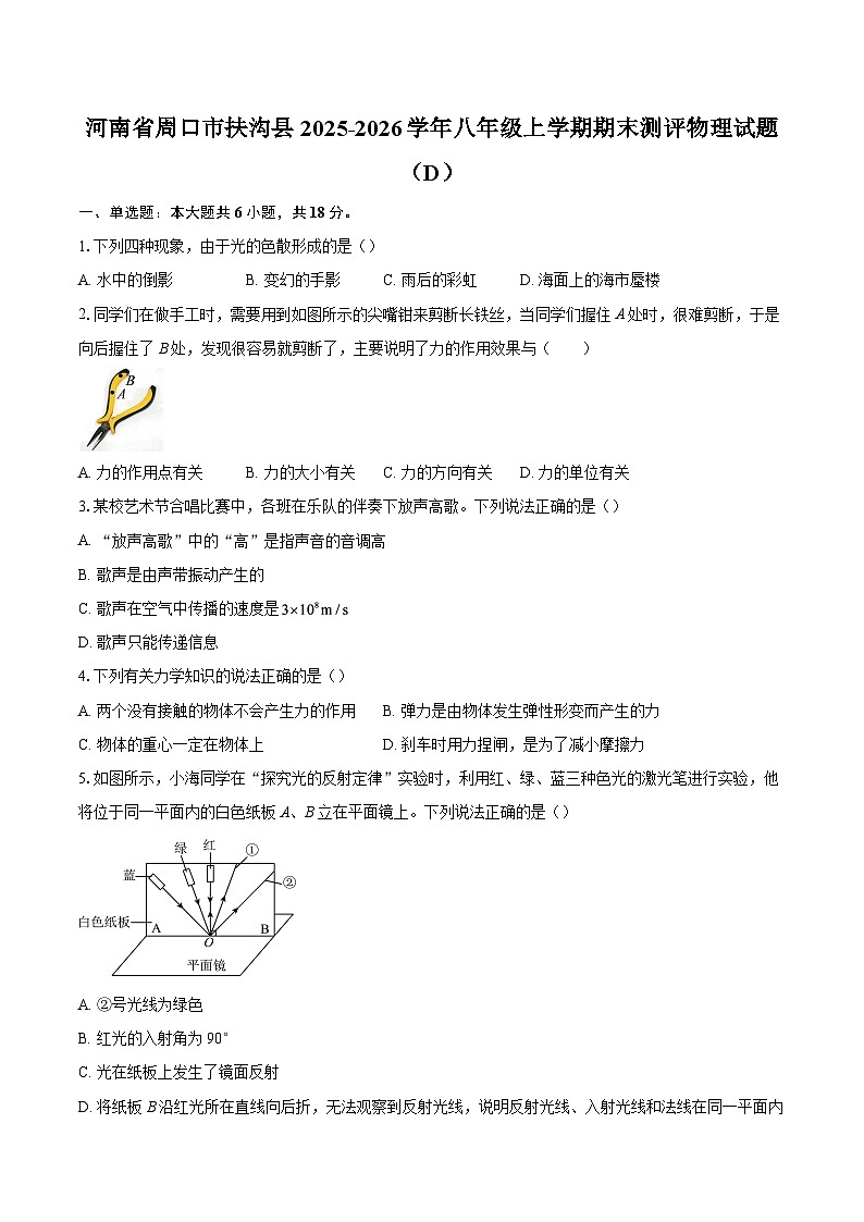 河南省周口市扶沟县2025-2026学年八年级上学期期末测评物理试题（D）-自定义类型第1页