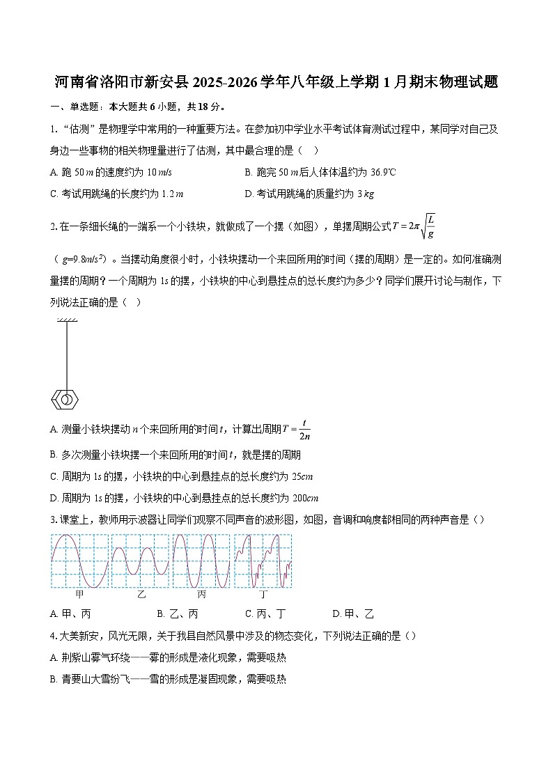 河南省洛阳市新安县2025-2026学年八年级上学期1月期末物理试题-自定义类型第1页