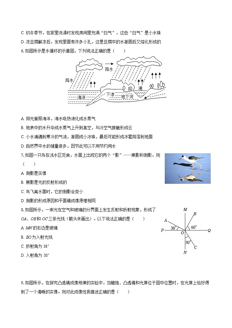 2025-2026学年湖南省邵阳市邵东市八年级（上）期末物理试卷-自定义类型第2页