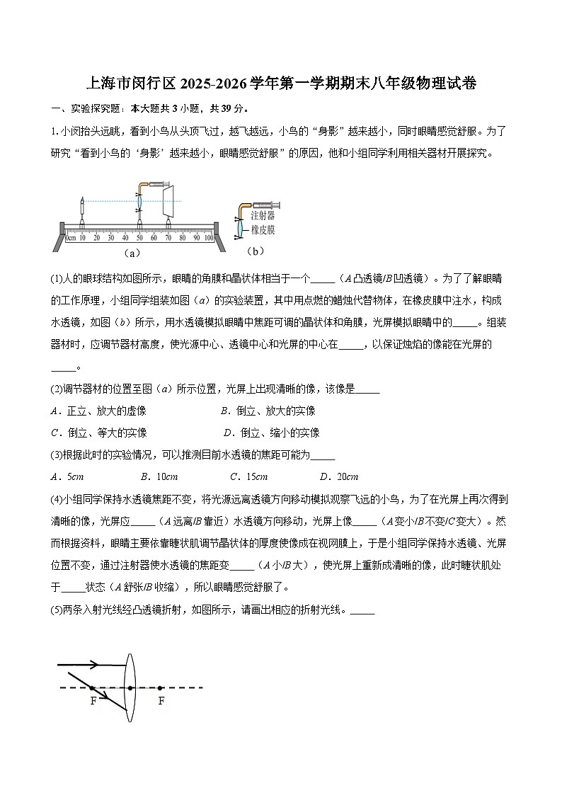 上海市闵行区2025-2026学年第一学期期末八年级物理试卷-自定义类型第1页