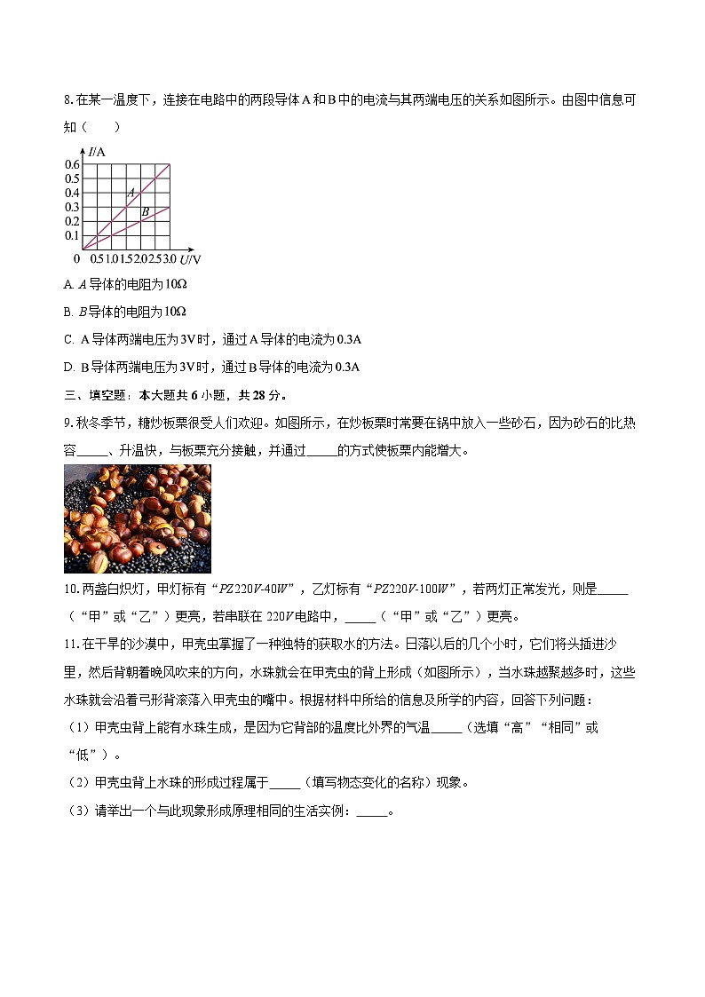 河南省南阳市西峡县2025-2026学年九年级上学期1月期末物理试题-自定义类型第3页