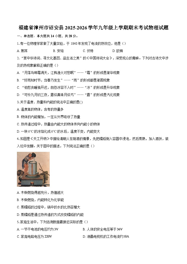 福建省漳州市诏安县2025-2026学年九年级上学期期末考试物理试题-自定义类型第1页
