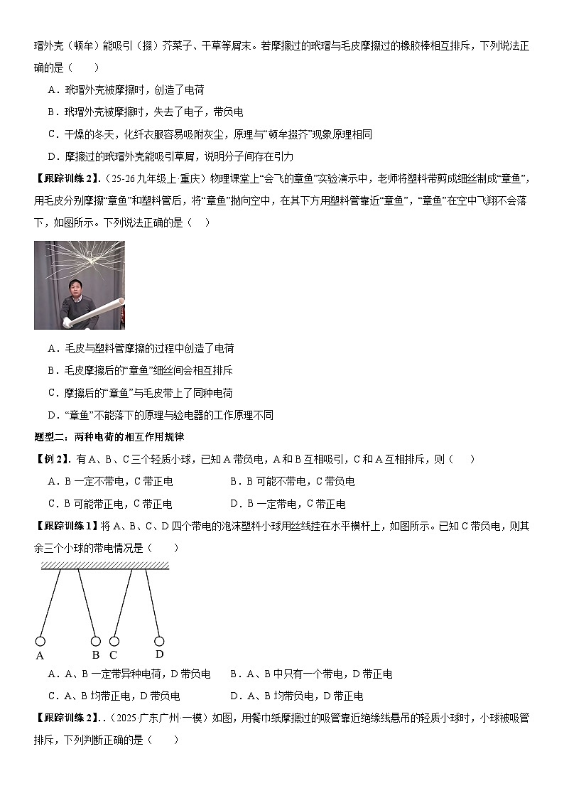 第01讲：两种电荷 原卷版第3页
