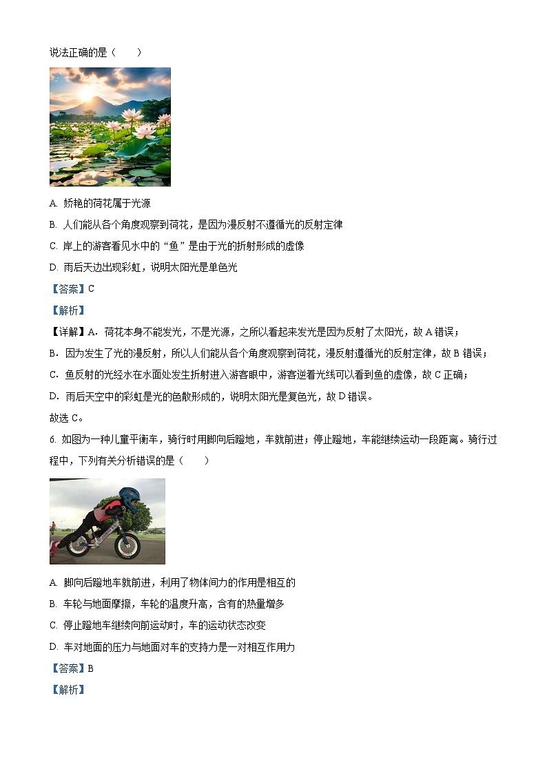 2025年陕西省宝鸡市渭滨区中考二模物理试题（解析版）第3页