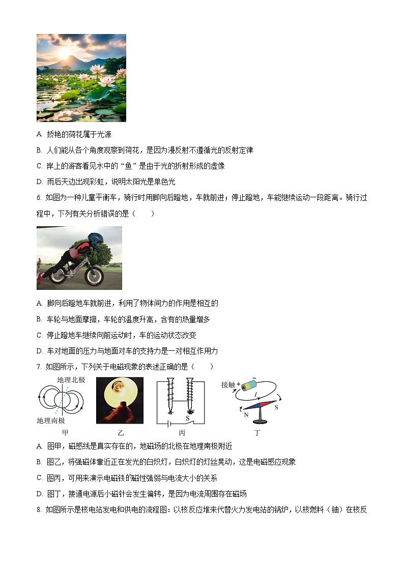 2025年陕西省宝鸡市渭滨区中考二模物理试题（原卷版）第2页