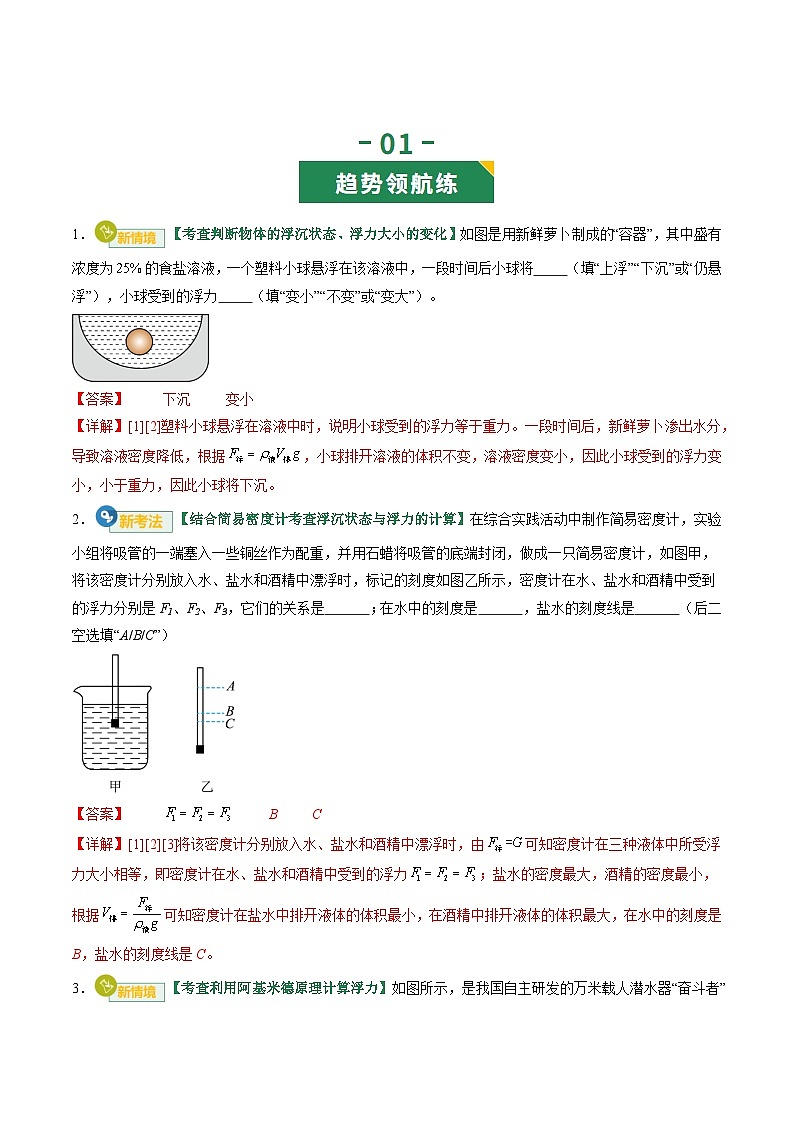 专题11 浮力（专项训练）（解析版）第2页