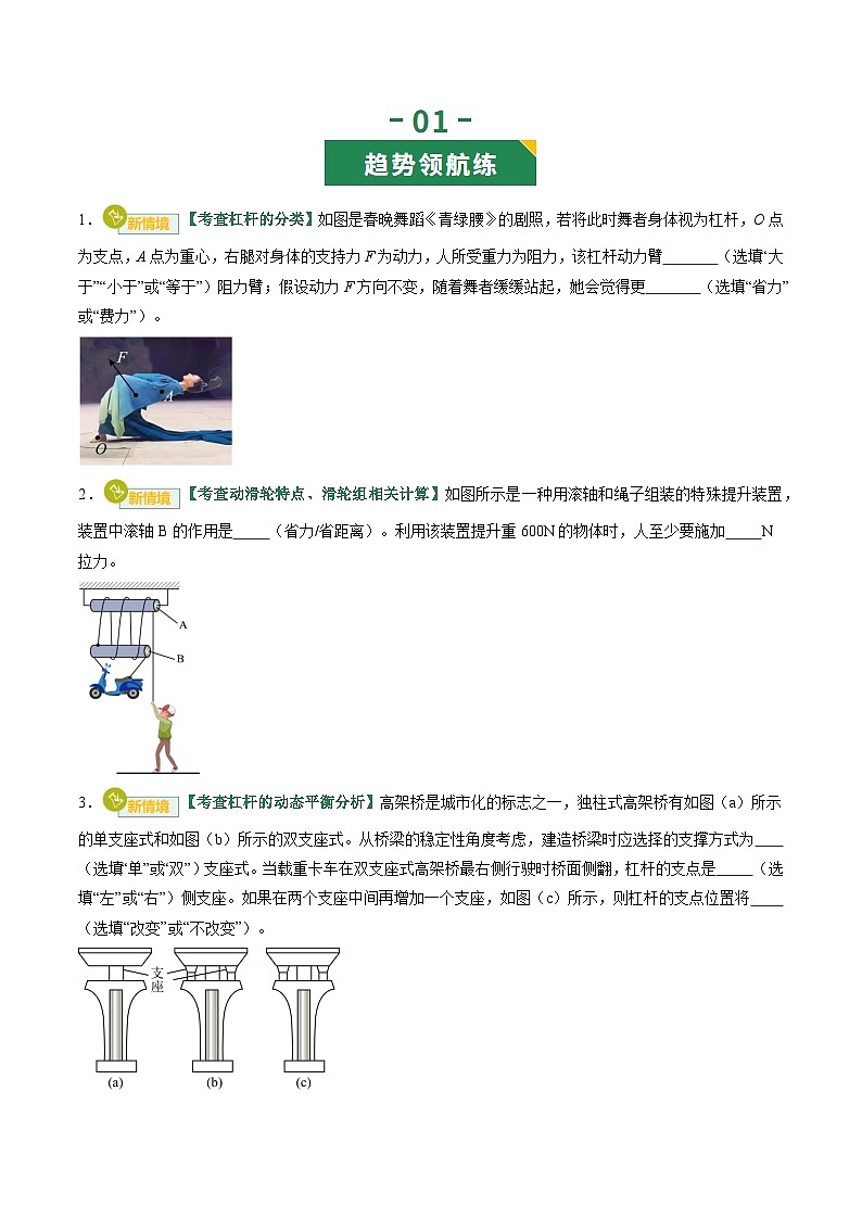 专题13 简单机械（专项训练）（原卷版）第2页