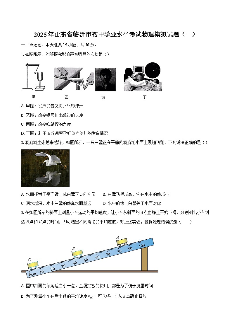 2025年山东省临沂市初中学业水平考试物理模拟试题（一）-自定义类型第1页