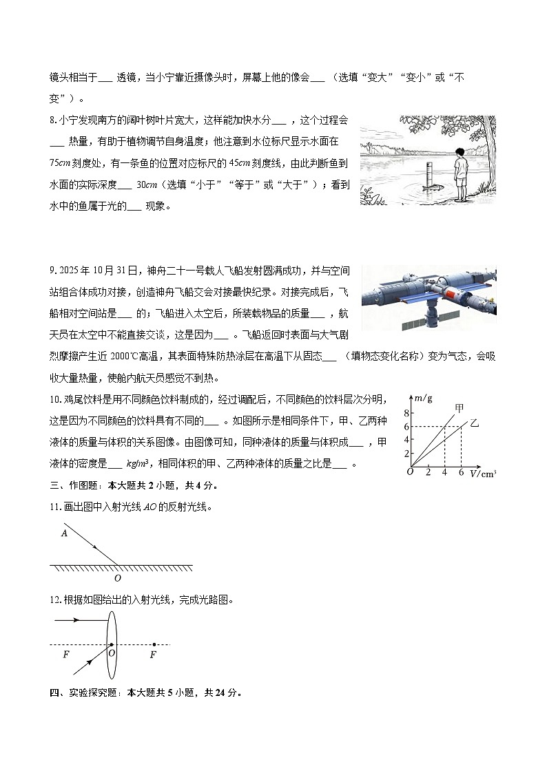 2025-2026学年吉林省吉林市丰满区八年级（上）期末物理试卷-自定义类型第2页