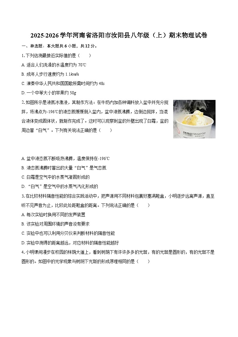 2025-2026学年河南省洛阳市汝阳县八年级（上）期末物理试卷-自定义类型第1页