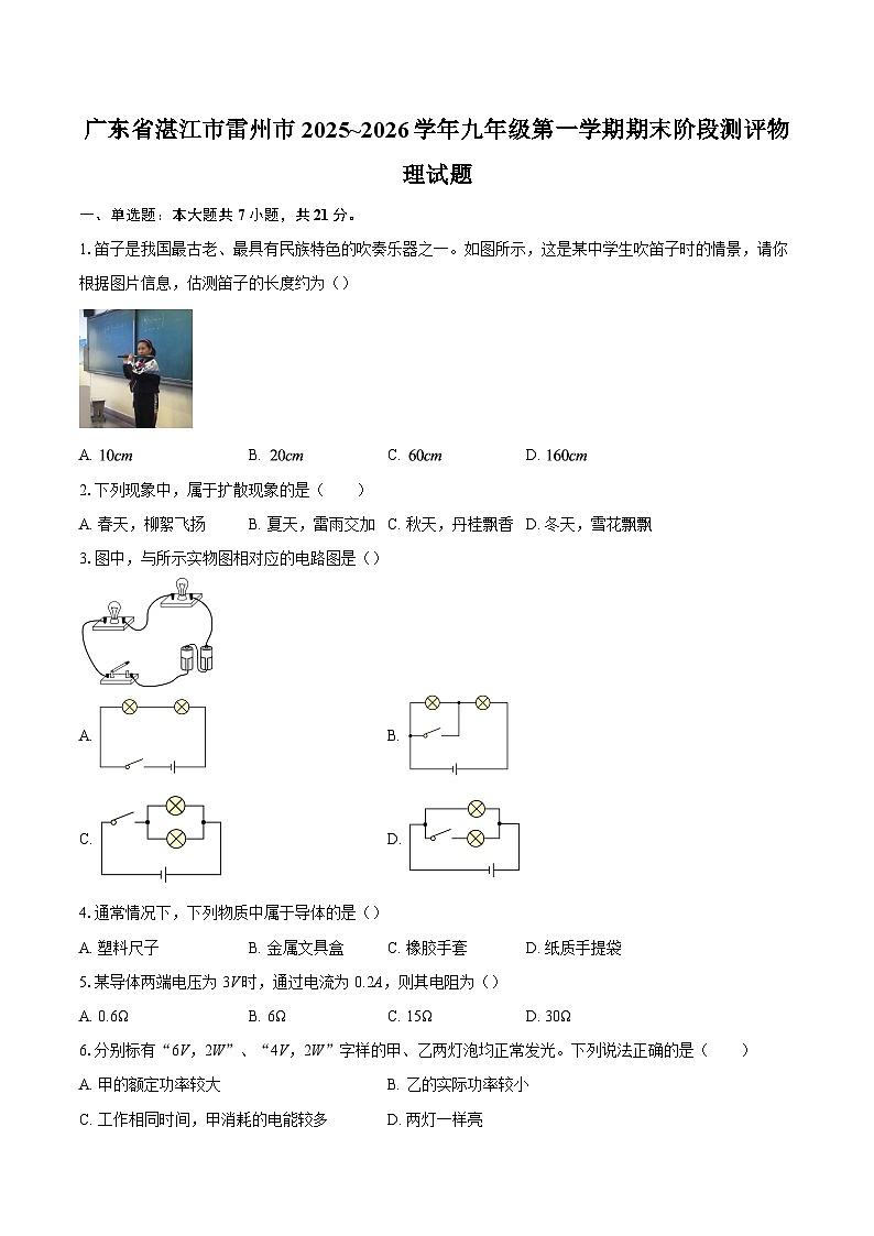 广东省湛江市雷州市2025~2026学年九年级第一学期期末阶段测评物理试题-自定义类型第1页