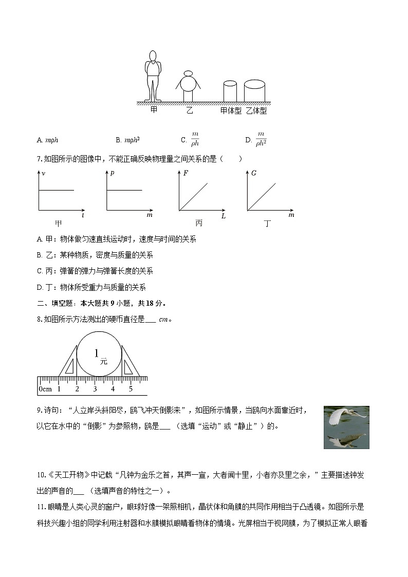 2025-2026学年安徽省合肥四十五中八年级（上）期末物理试卷-自定义类型第3页