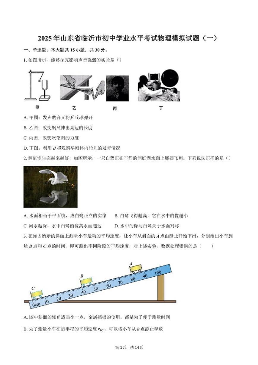2025年山东省临沂市初中学业水平考试物理模拟试题（一）（含答案）第1页