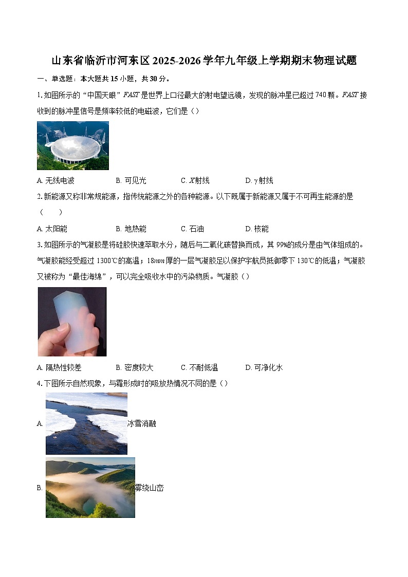山东省临沂市河东区2025-2026学年九年级上学期期末物理试题-自定义类型第1页