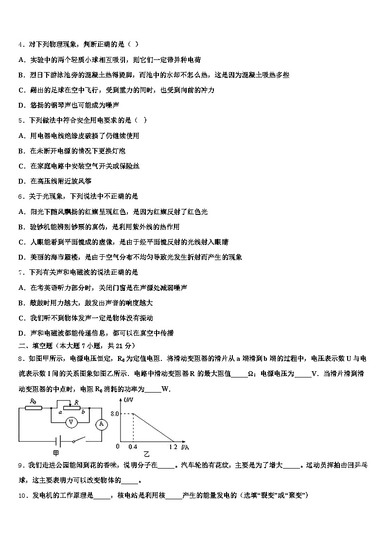 2026届四川省攀枝花市中考联考物理试卷（含答案解析）第2页