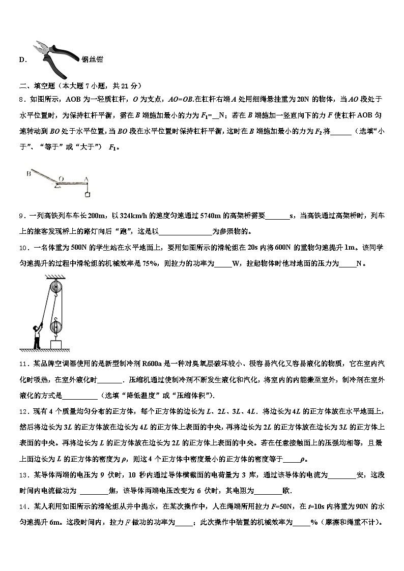 2025-2026学年芜湖市中考物理模拟试题（含答案解析）第3页