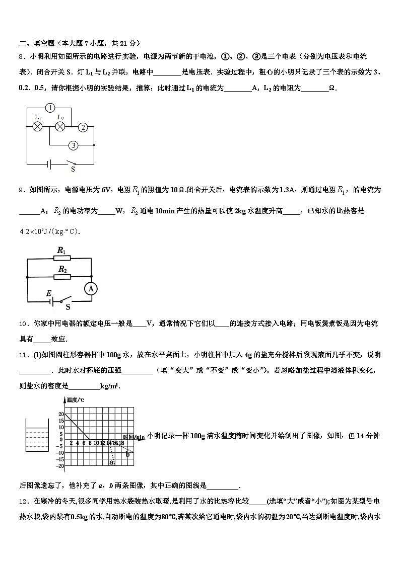 云南省红河哈尼族彝族自治州2026年中考物理猜题卷（含答案解析）第3页