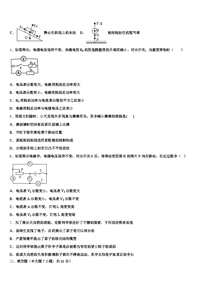 贵州省毕节市2025-2026学年中考物理对点突破模拟试卷（含答案解析）第2页