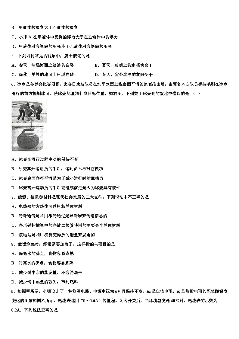 安徽省马鞍山市2025-2026学年中考物理全真模拟试题（含答案解析）第2页