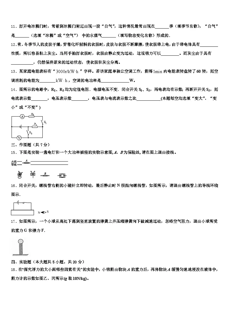 2025-2026学年河北省廊坊市中考三模物理试题（含答案解析）第3页