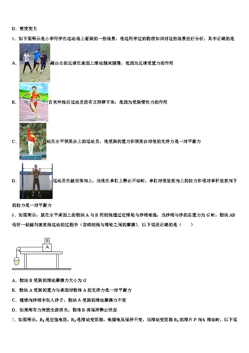 2025-2026学年河南省新乡市中考三模物理试题（含答案解析）第2页