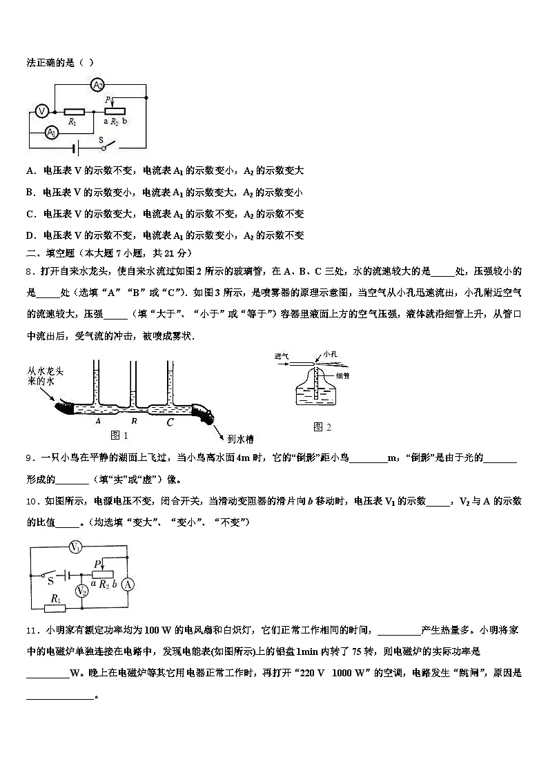 2025-2026学年河南省新乡市中考三模物理试题（含答案解析）第3页