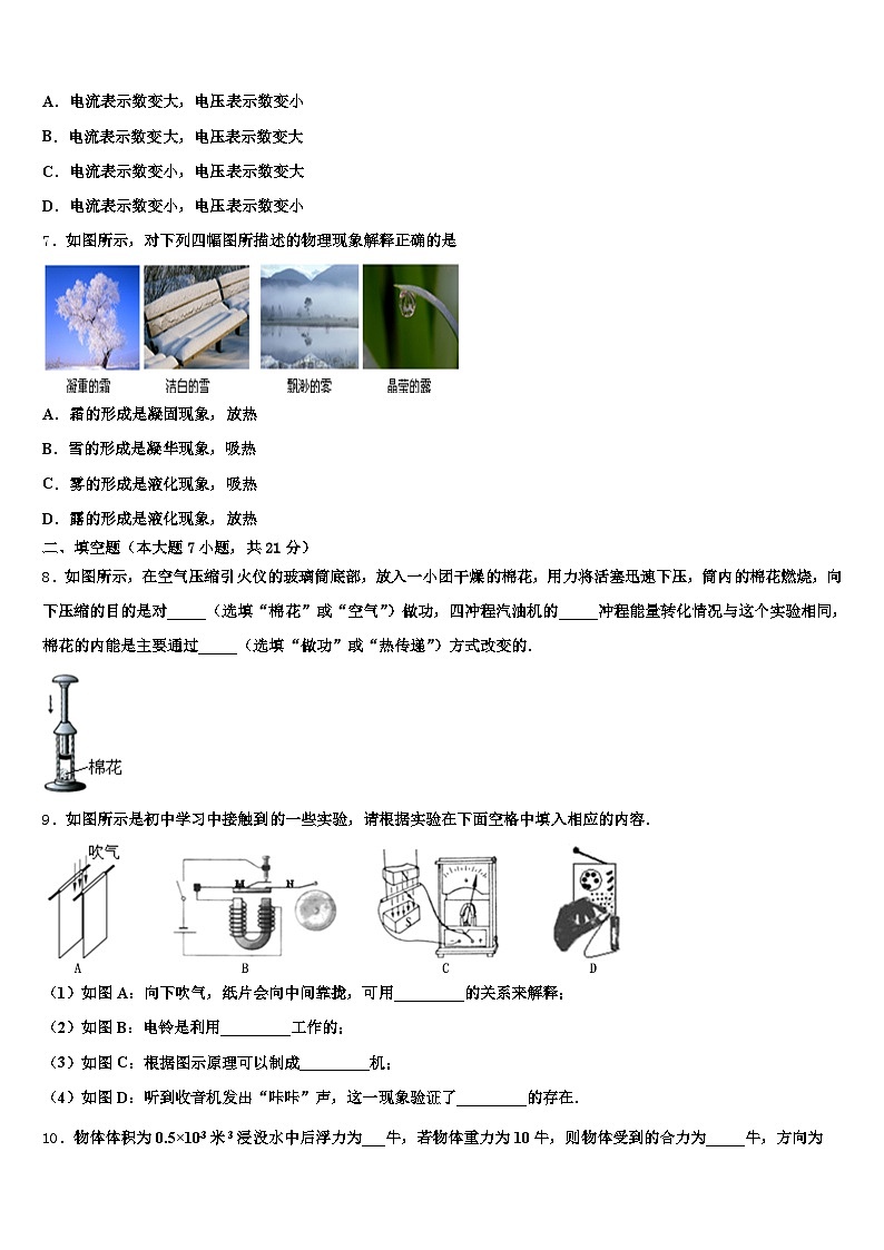 2026年濮阳市中考猜题物理试卷（含答案解析）第3页