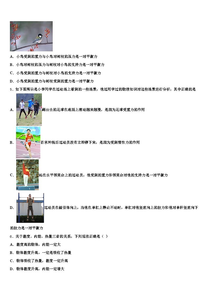 2026年山东省淄博市中考联考物理试题（含答案解析）第2页