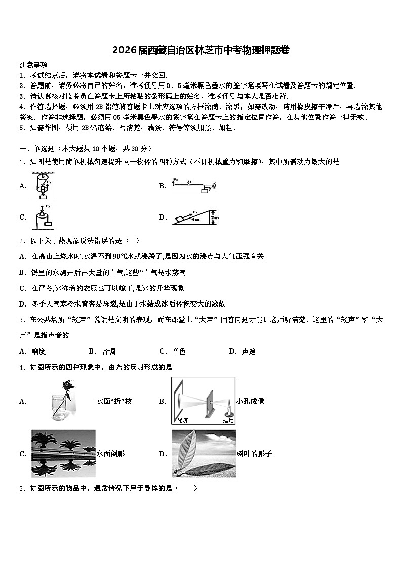 2026届西藏自治区林芝市中考物理押题卷（含答案解析）第1页