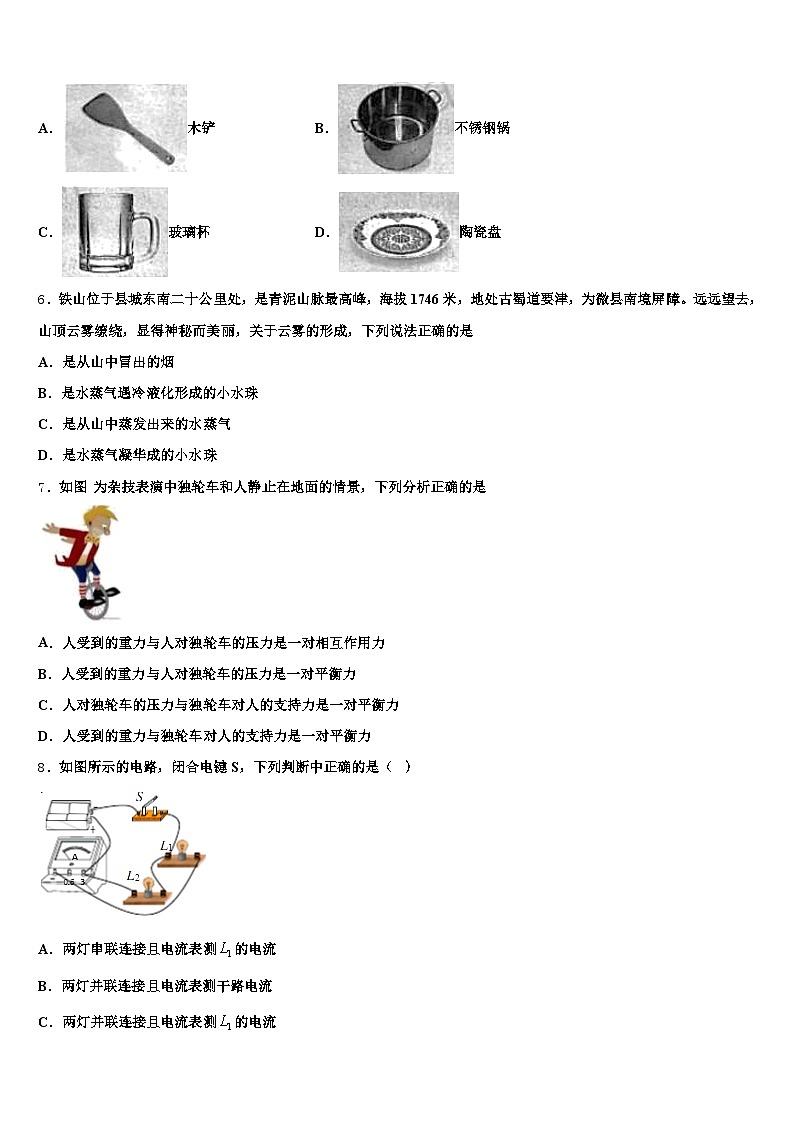 2026届西藏自治区林芝市中考物理押题卷（含答案解析）第2页