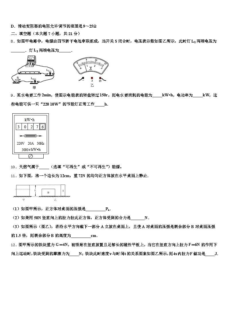 福建省莆田市2025-2026学年中考物理全真模拟试题（含答案解析）第3页