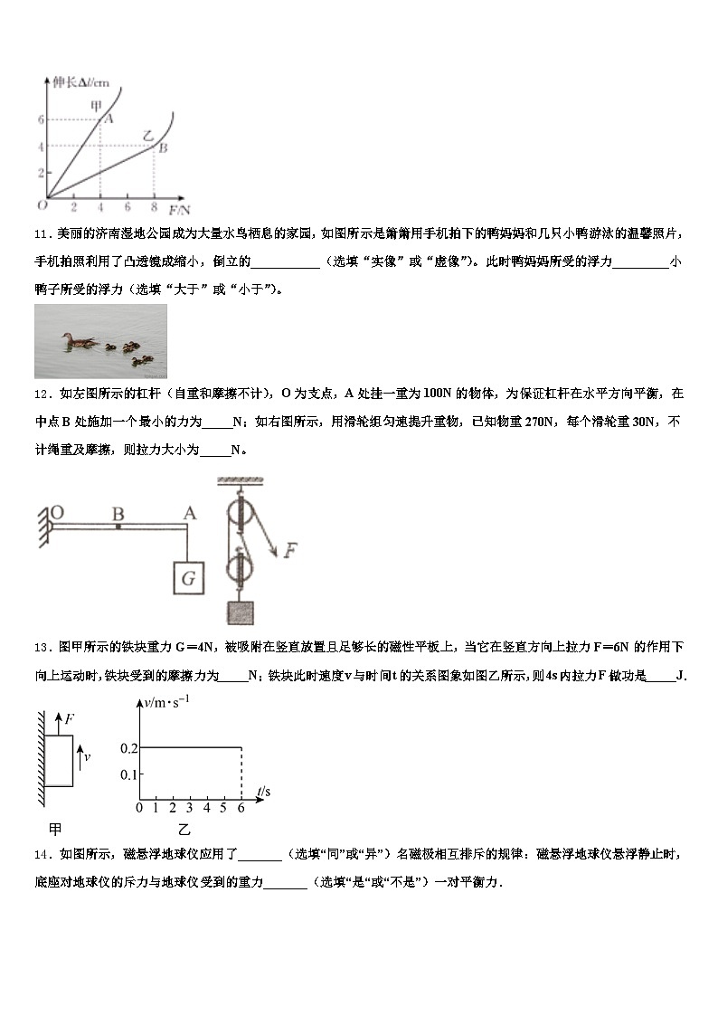 福建省宁德市2026年中考猜题物理试卷（含答案解析）第3页