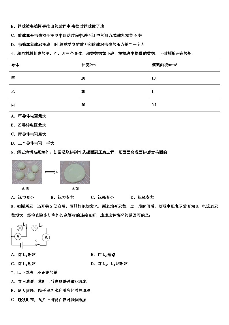 吉林省白山市2026年中考物理考试模拟冲刺卷（含答案解析）第2页