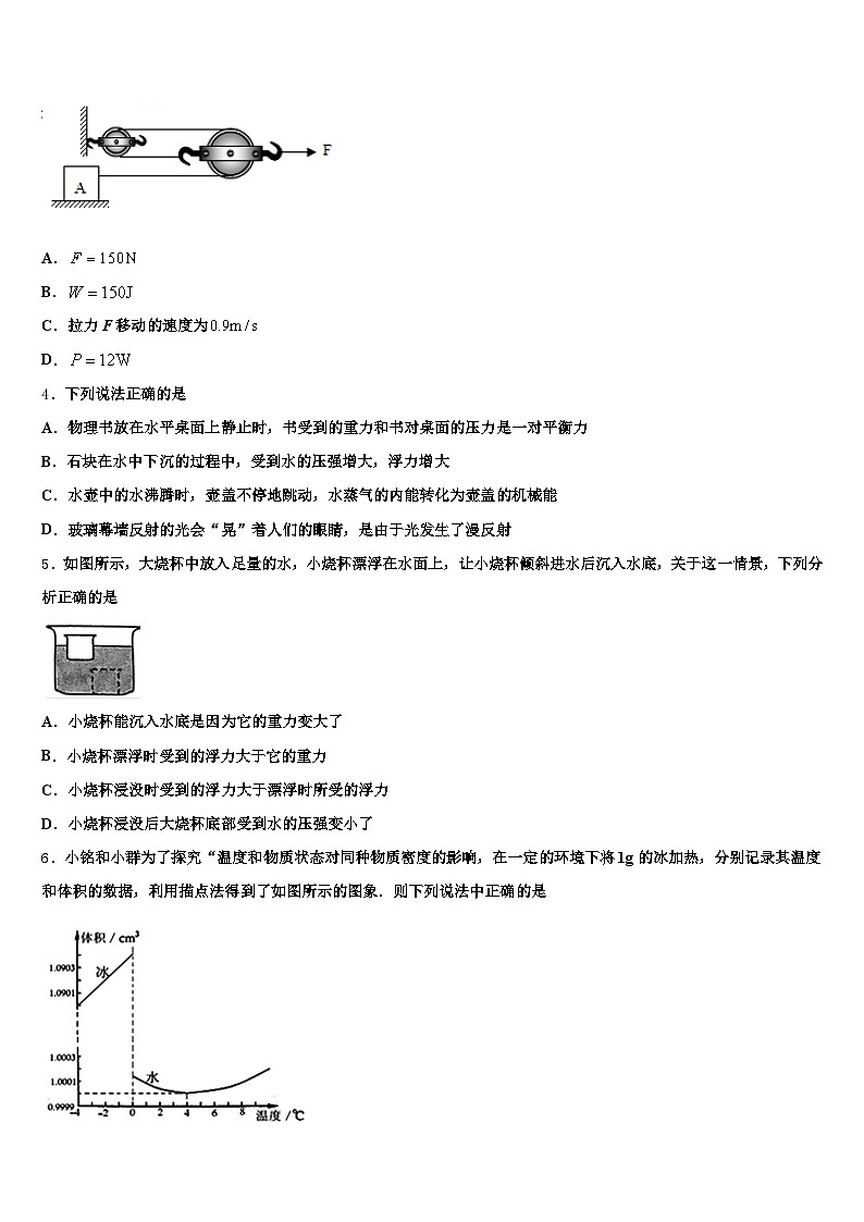 2026届湖北省恩施土家族苗族自治州中考二模物理试题（含答案解析）第2页