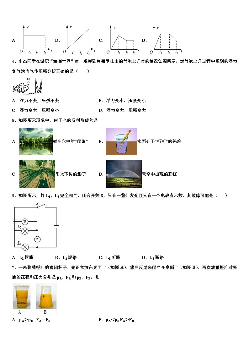 岳阳市2026年中考物理考前最后一卷（含答案解析）第2页