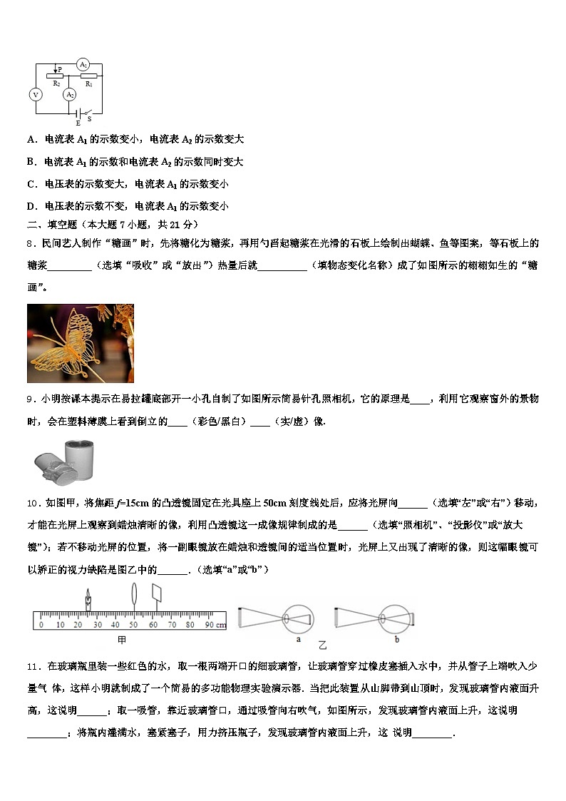 扬州市2025-2026学年中考物理考前最后一卷（含答案解析）第3页