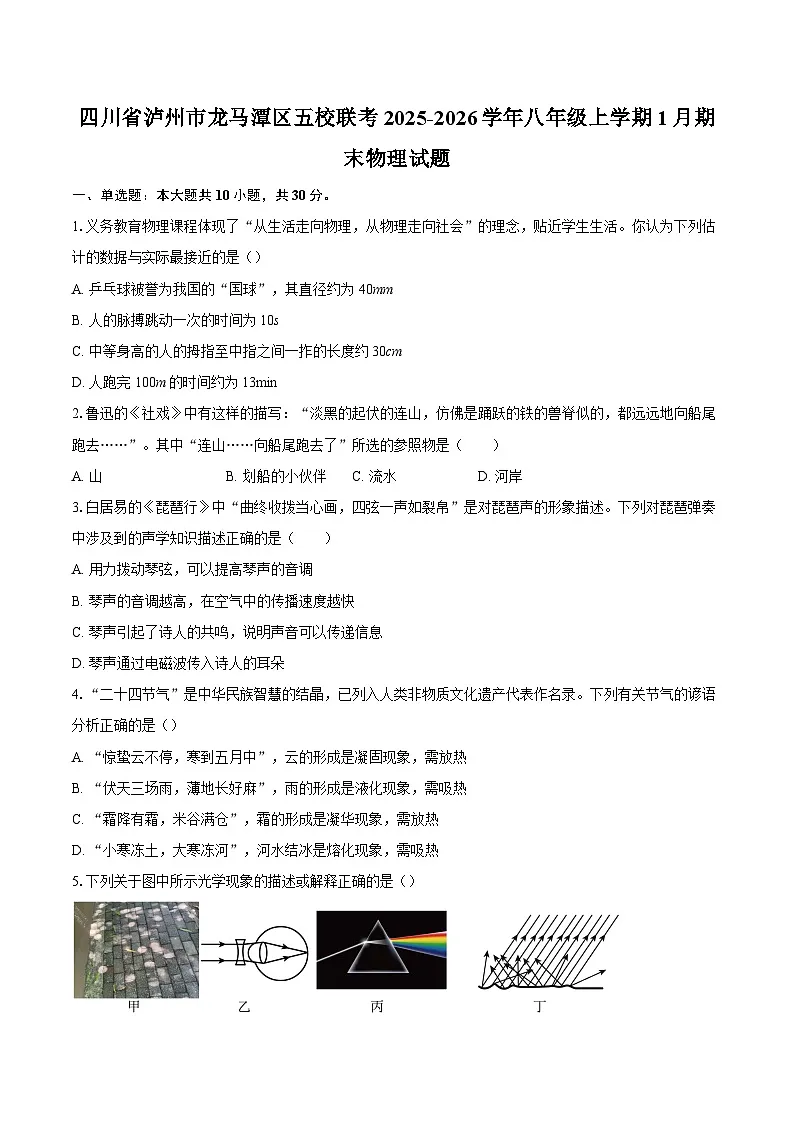 四川省泸州市龙马潭区五校联考2025-2026学年八年级上学期1月期末物理试题-自定义类型第1页