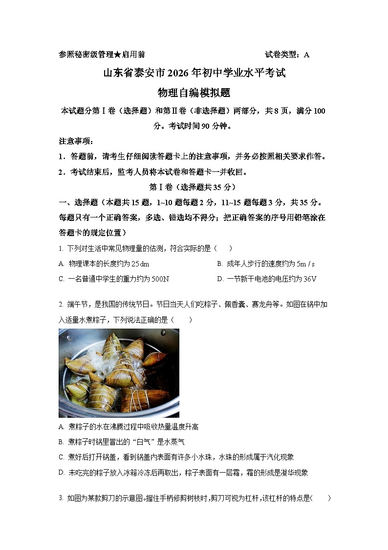 2026届山东省泰安市中考物理自编模拟卷第1页