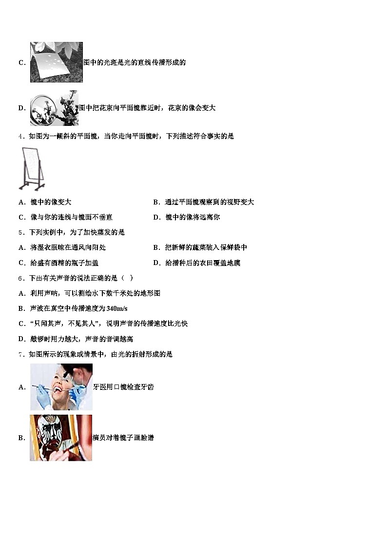 2025-2026学年河南省安阳市中考物理对点突破模拟试卷（含答案解析）第2页