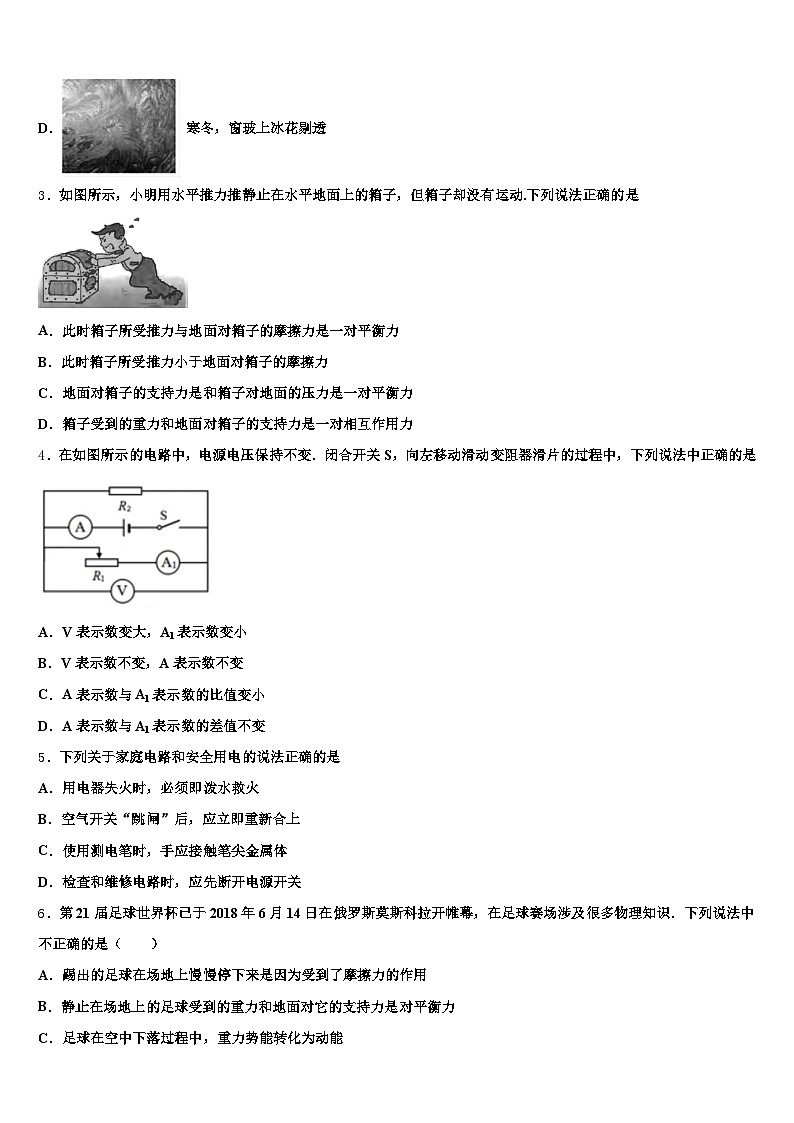 2026届山东省威海市中考二模物理试题（含答案解析）第2页