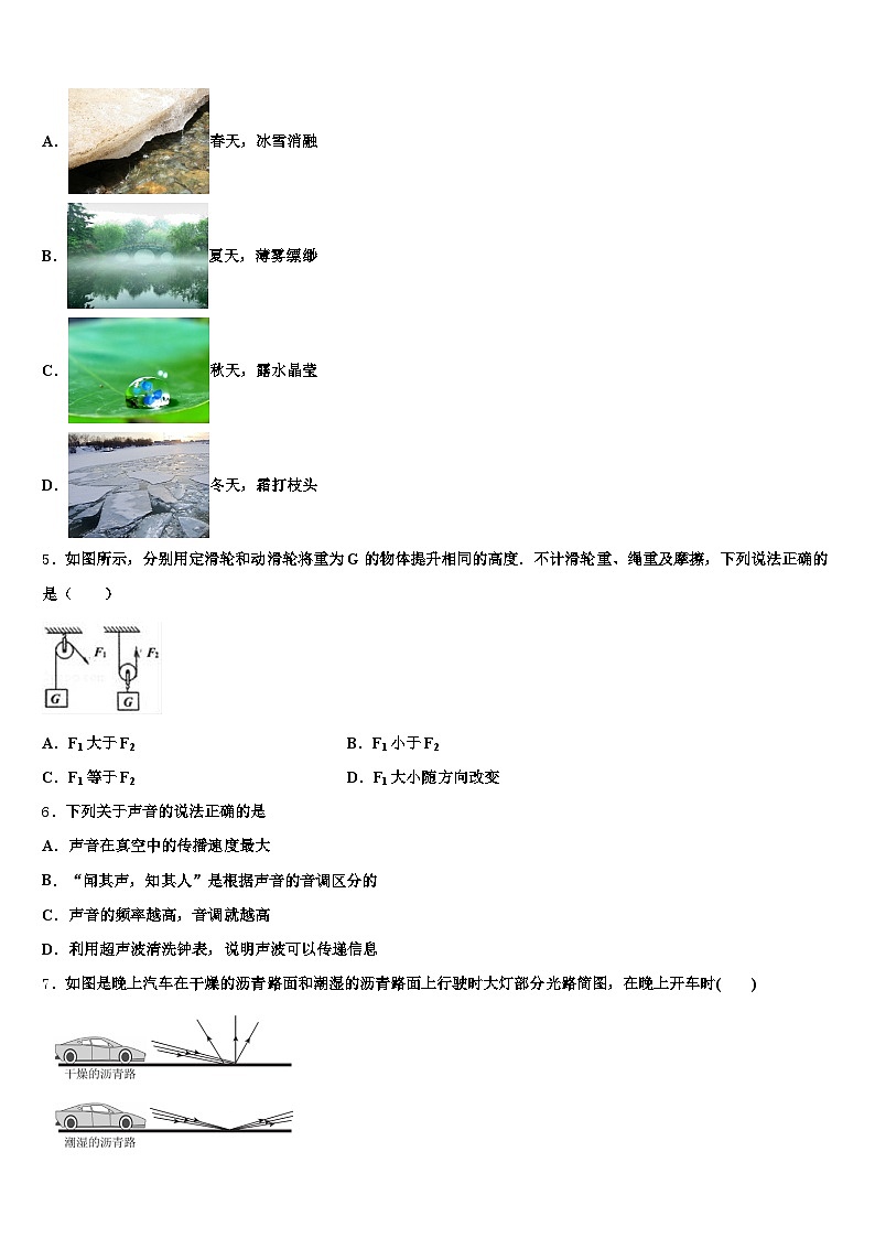 青岛市2026年中考联考物理试卷（含答案解析）第2页